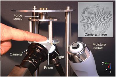 Physical Variables Underlying Tactile Stickiness During Fingerpad Detachment